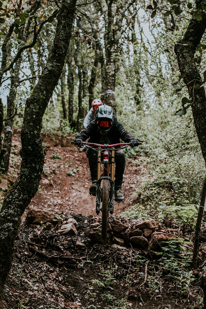Mountain bikers navigate a challenging forest trail, embracing adventure and adrenaline.