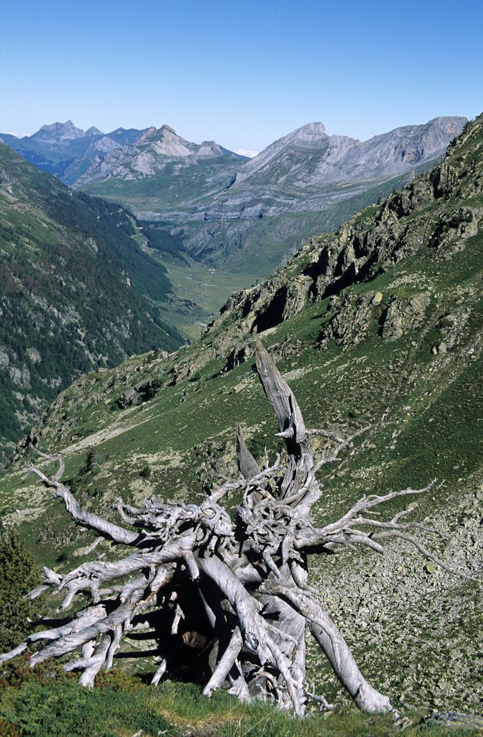 Discover the rugged beauty of the Pyrenees with a dramatic mountain landscape in Laruns, France.