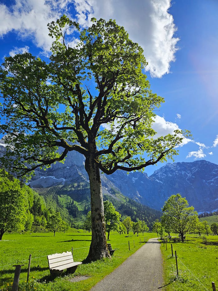 Beautiful summer landscape in Karwendel, Austria with lush greenery and mountains.