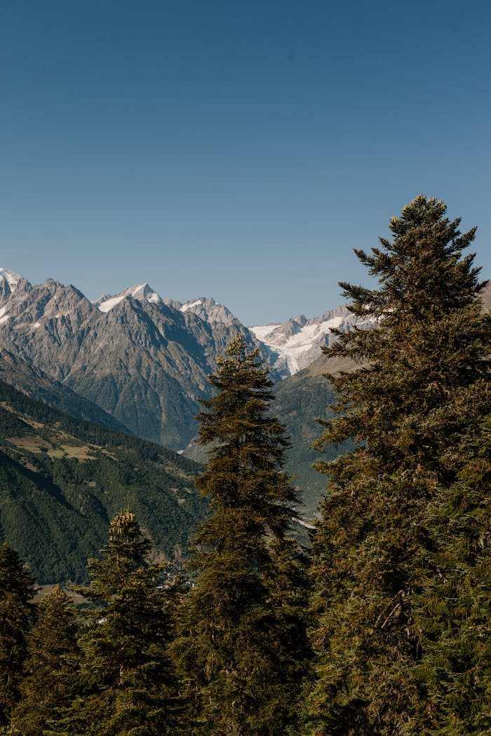 Picturesque scenery of lush coniferous woods growing among high rocky tops in highland valley